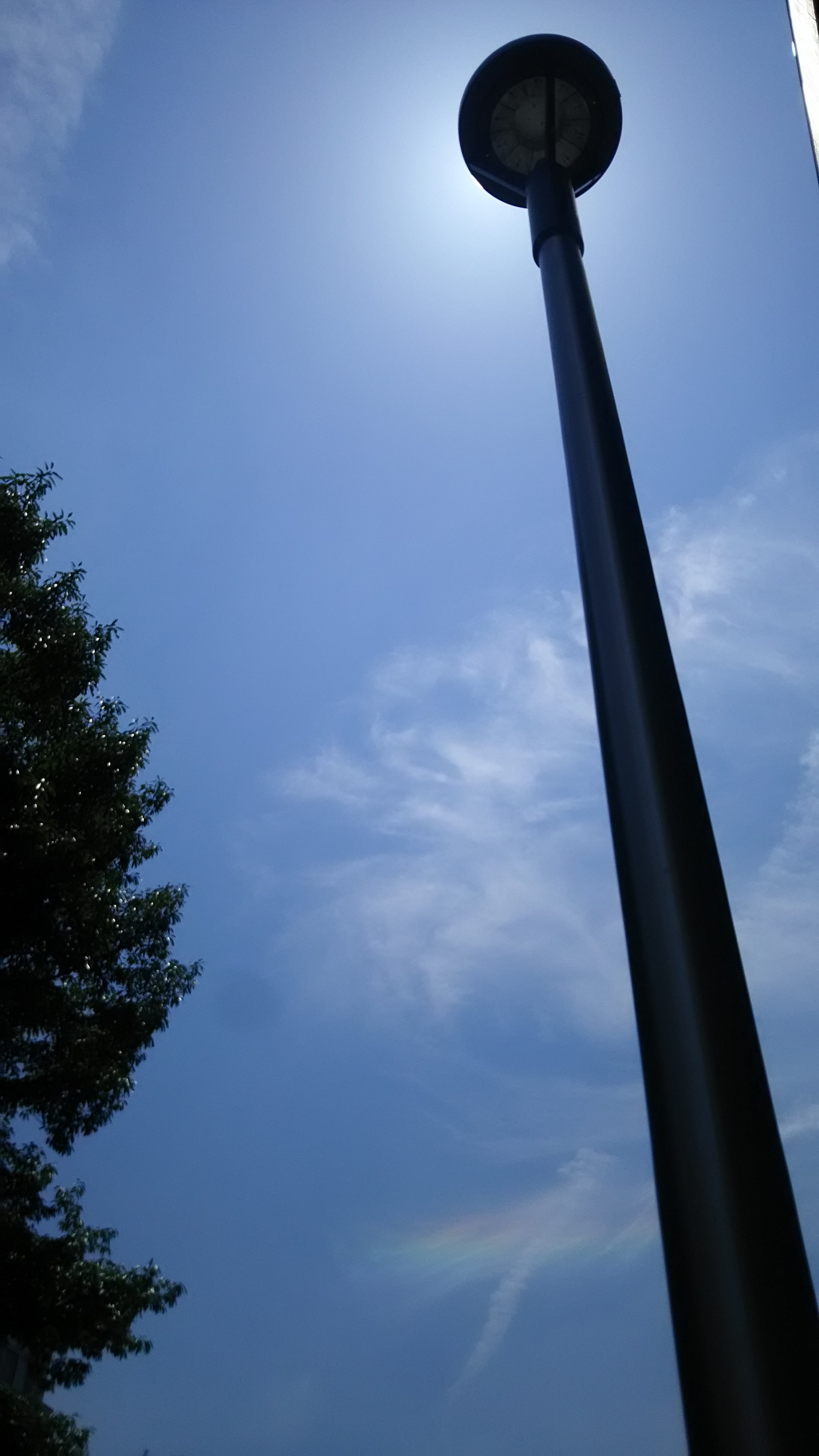 CircumhorizontalArc-2